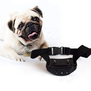 Anti-Barking Dog Training Collar