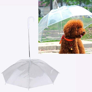 Dog Lead Umbrella