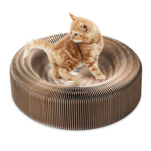 Portable Collapsible Cat Scratcher Lounge