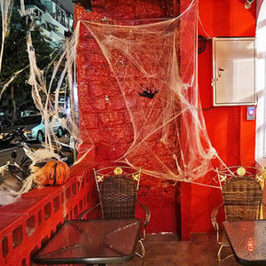 Halloween Spider Web Haunted House Decoration
